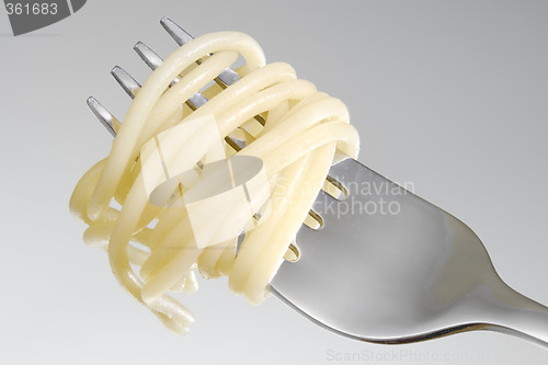 Image of Spaghetti