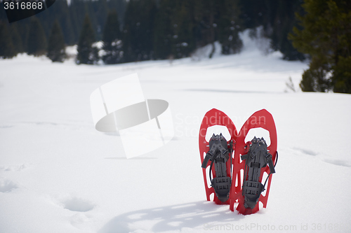 Image of winter snowshoes