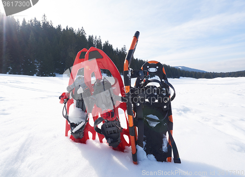 Image of winter snowshoes