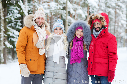 Image of group of smiling men and women in winter forest