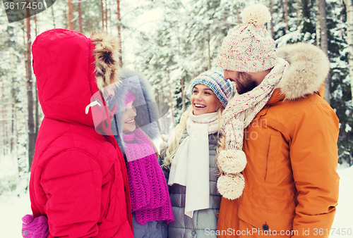 Image of group of smiling men and women in winter forest