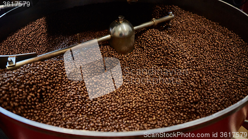 Image of Freshly roasted coffee beans