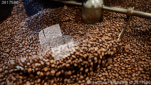 Image of Freshly roasted coffee beans