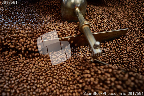 Image of Freshly roasted coffee beans