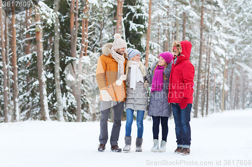 Image of group of smiling men and women in winter forest