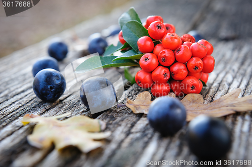 Image of Romantic autumn still life