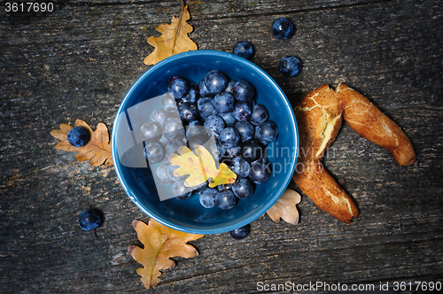 Image of Still life with blackthorn and bagel