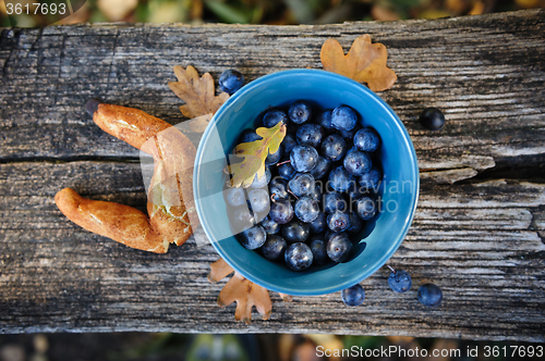 Image of Still life with blackthorn and bagel