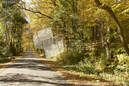 Image of Autumn Foliage in Vermont