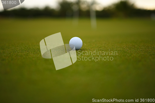 Image of Golf Ball