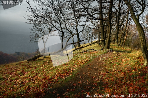 Image of Path at the Mountain edge 