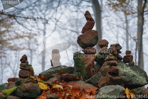 Image of Autumn day in the enchanted forest 