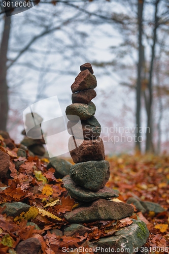 Image of Autumn day in the enchanted forest 