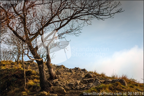 Image of Path at the Mountain edge 