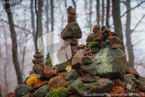 Image of Autumn day in the enchanted forest 