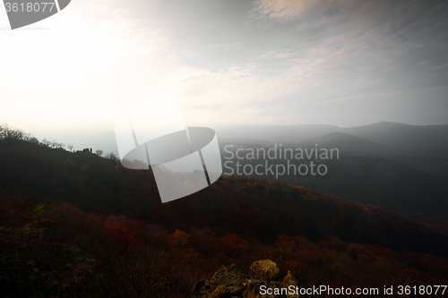 Image of Aerial view of autumn forest