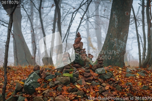 Image of Autumn day in the enchanted forest 