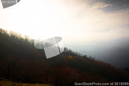 Image of Aerial view of autumn forest