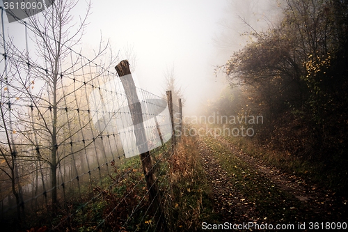 Image of Pathway through the autumn forest