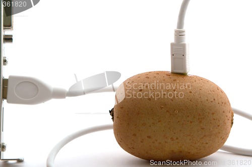 Image of The kiwifruit connected through usb cable