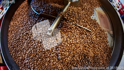 Image of Freshly roasted coffee beans