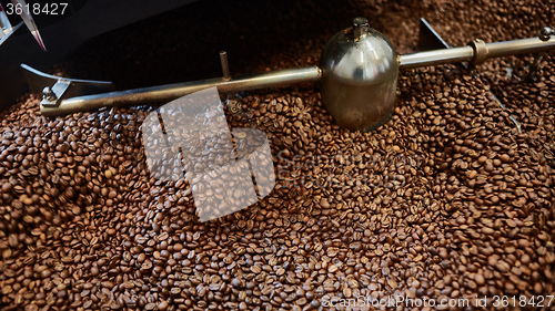 Image of Freshly roasted coffee beans