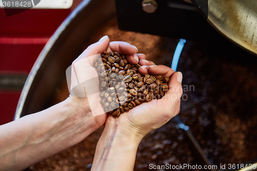 Image of close-up view of roasted coffee beans in hand