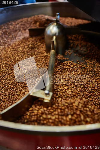 Image of Freshly roasted coffee beans