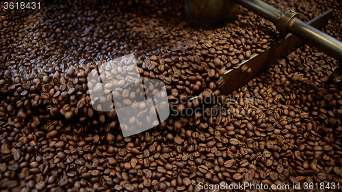 Image of Freshly roasted coffee beans