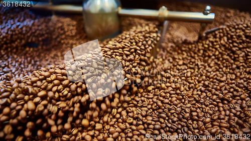 Image of Freshly roasted coffee beans