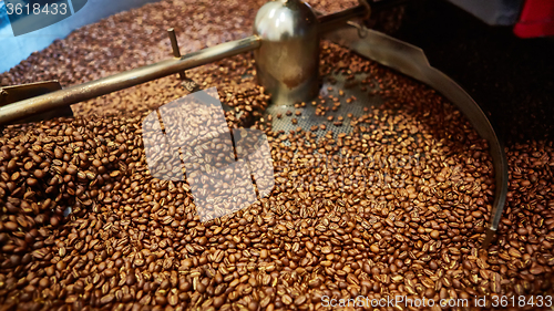 Image of Freshly roasted coffee beans