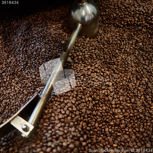 Image of Freshly roasted coffee beans