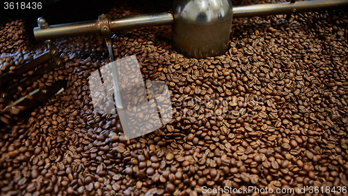 Image of Freshly roasted coffee beans