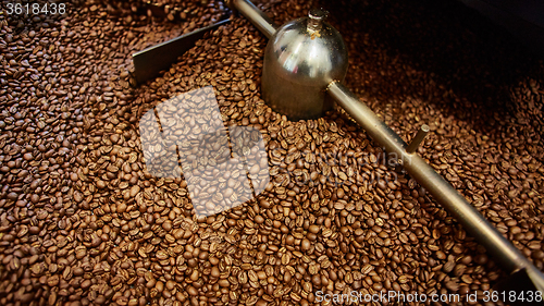 Image of Freshly roasted coffee beans