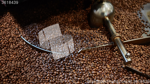 Image of Freshly roasted coffee beans