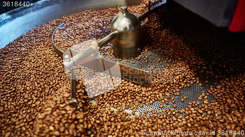 Image of Freshly roasted coffee beans