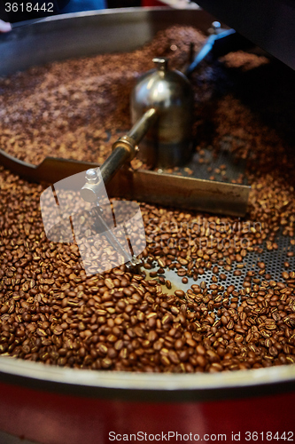 Image of Freshly roasted coffee beans