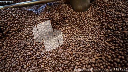 Image of Freshly roasted coffee beans