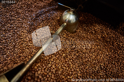 Image of Freshly roasted coffee beans