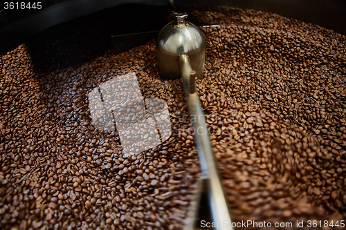 Image of Freshly roasted coffee beans