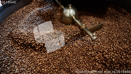 Image of Freshly roasted coffee beans