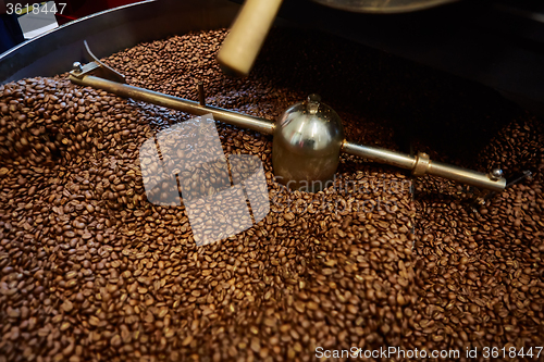 Image of Freshly roasted coffee beans