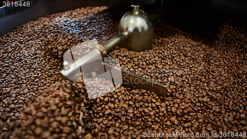 Image of Freshly roasted coffee beans