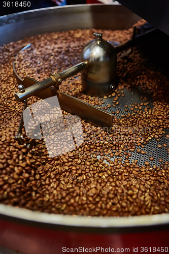 Image of Freshly roasted coffee beans