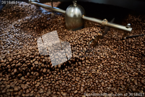 Image of Freshly roasted coffee beans