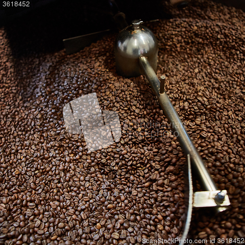 Image of Freshly roasted coffee beans