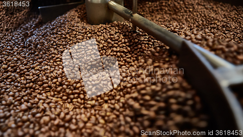 Image of Freshly roasted coffee beans