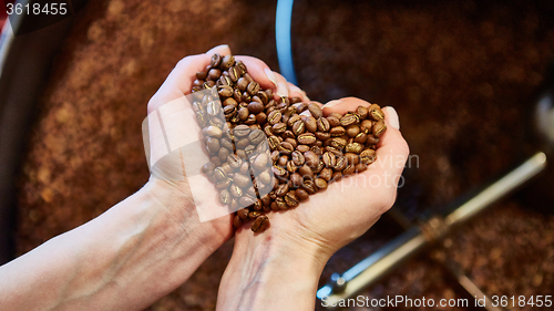 Image of close-up view of roasted coffee beans in hand