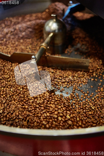 Image of Freshly roasted coffee beans