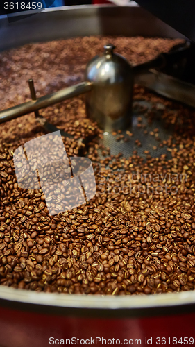 Image of Freshly roasted coffee beans